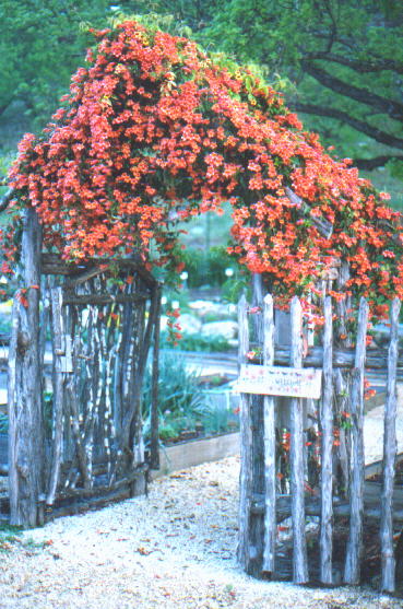 Our Demonstration Garden Entrance