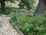 Demonstration Garden